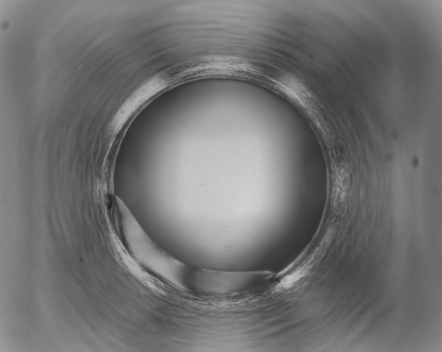 X0000052981042200507291546