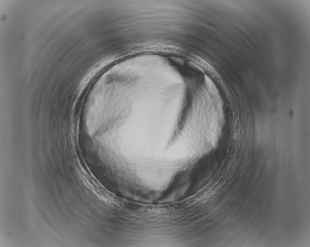 X0000052981043200507291546