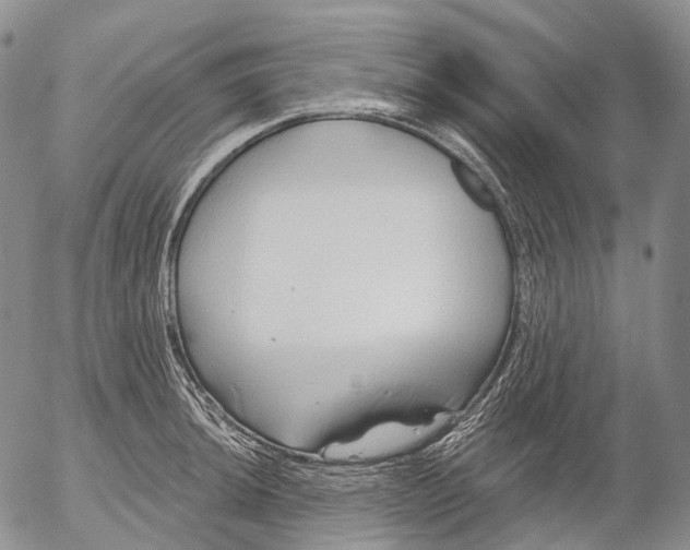 X0000052981044200507291546