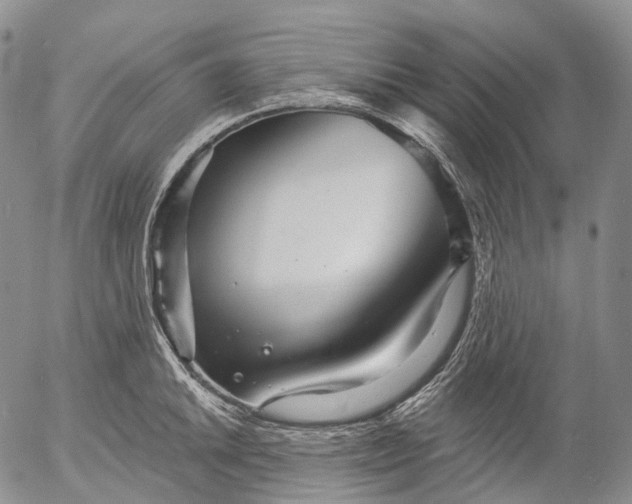 X0000052981046200507291546