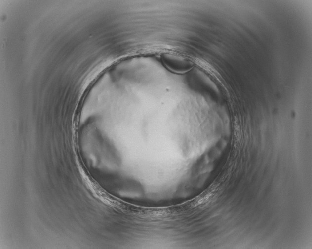 X0000052981047200507291547