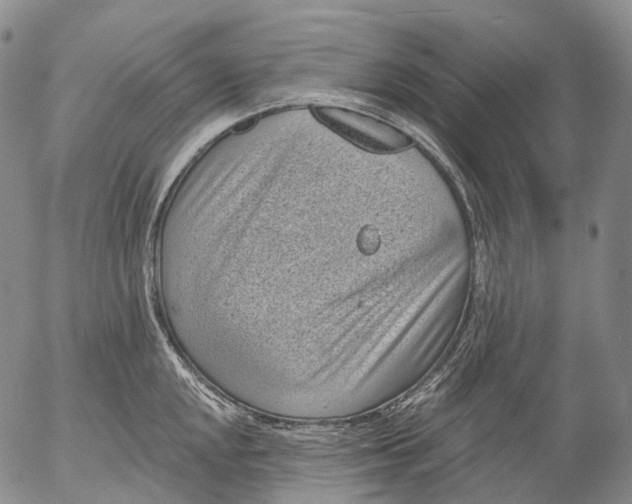 X0000052981048200507291547