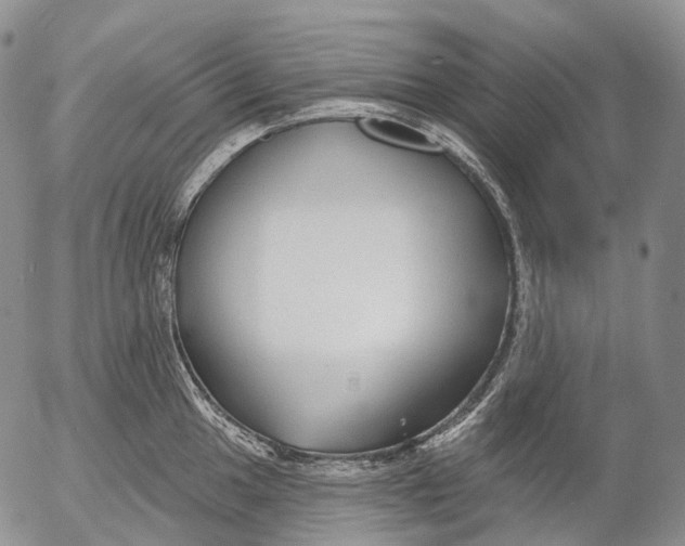 X0000052981049200507291547