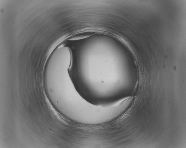 X0000052981050200507291547