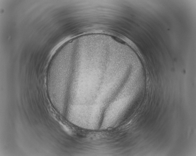 X0000052981051200507291547