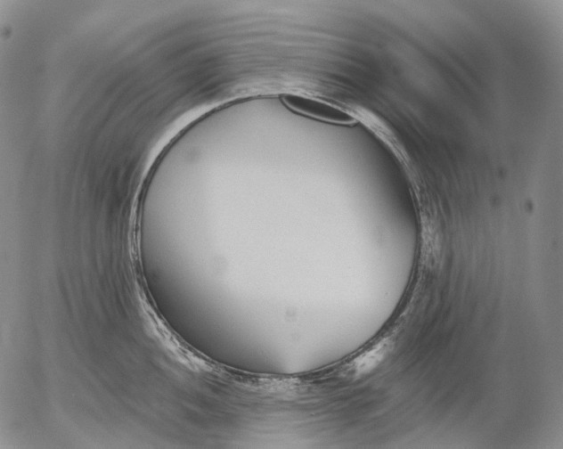 X0000052981052200507291547