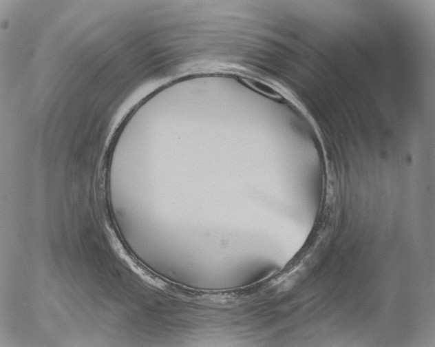 X0000052981053200507291547