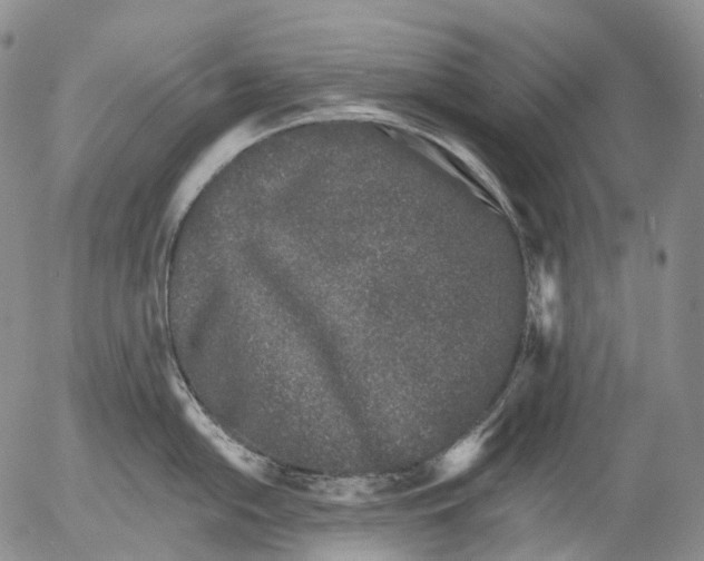 X0000052981054200507291547