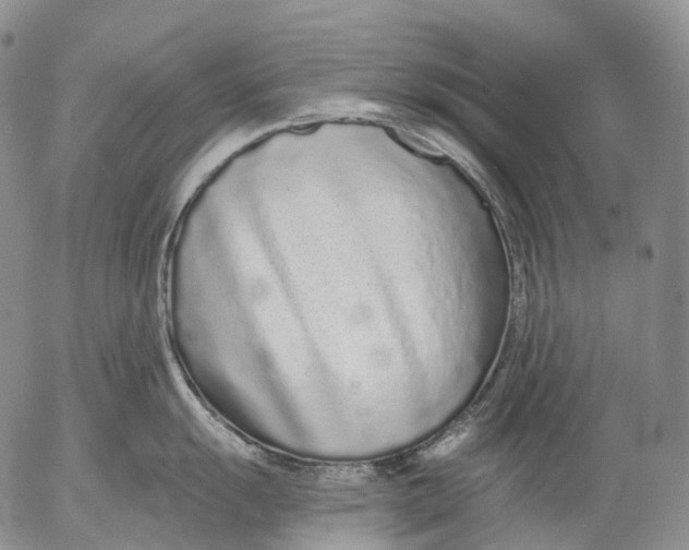 X0000052981055200507291547