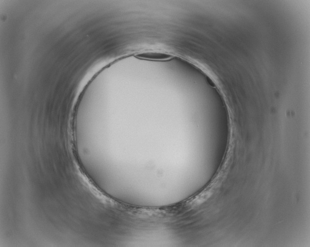 X0000052981056200507291547