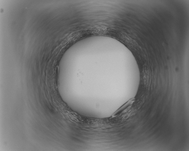 X0000052981057200507291546