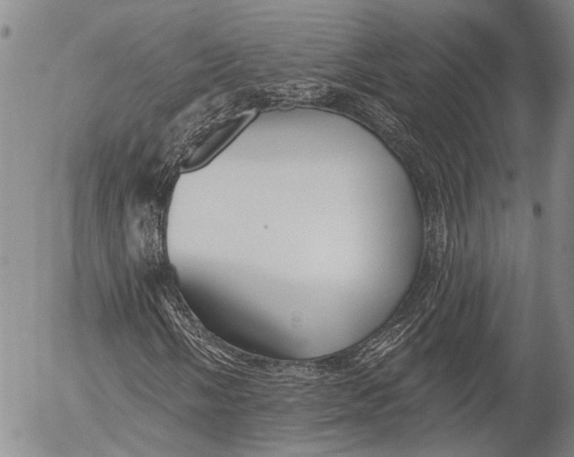 X0000052981058200507291546