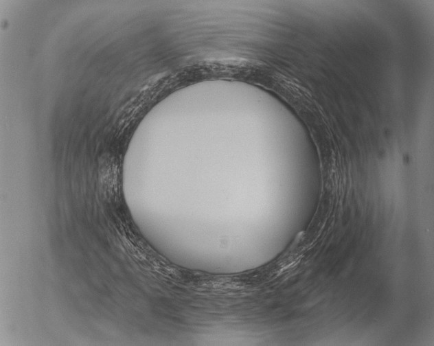 X0000052981061200507291546