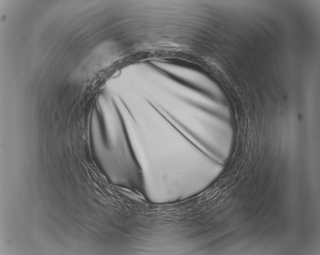 X0000052981063200507291546