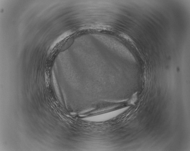 X0000052981064200507291546