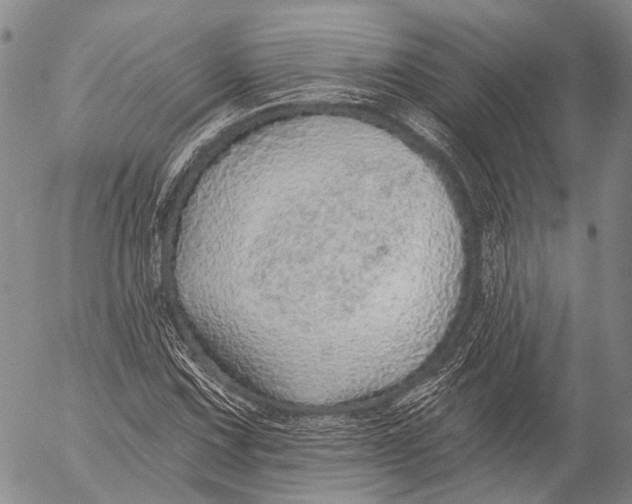 X0000052981067200507291546