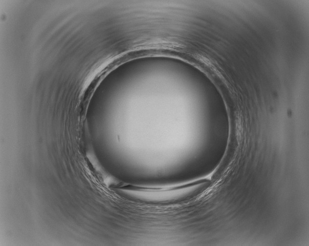 X0000052981069200507291546