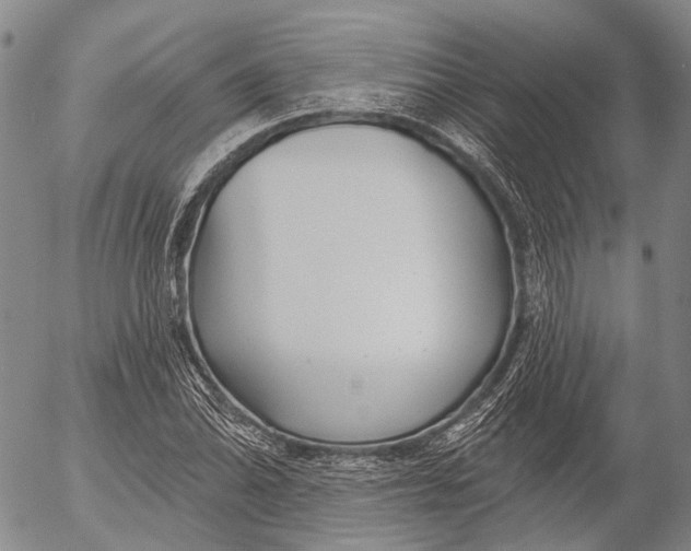 X0000052981070200507291546