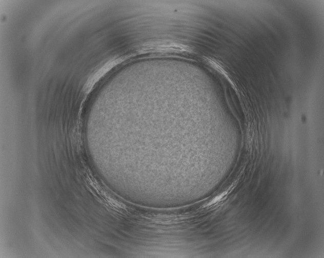 X0000052981071200507291546