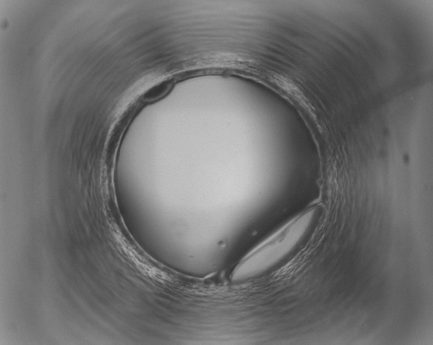 X0000052981072200507291546