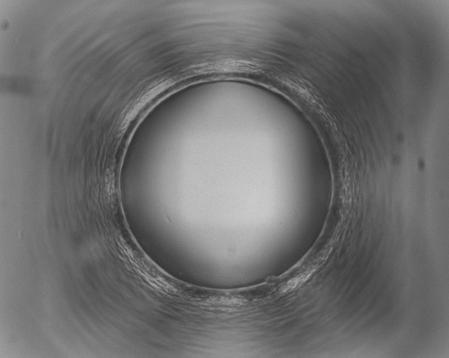 X0000052981073200507291546