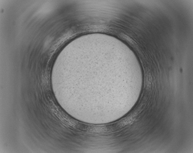 X0000052981074200507291546