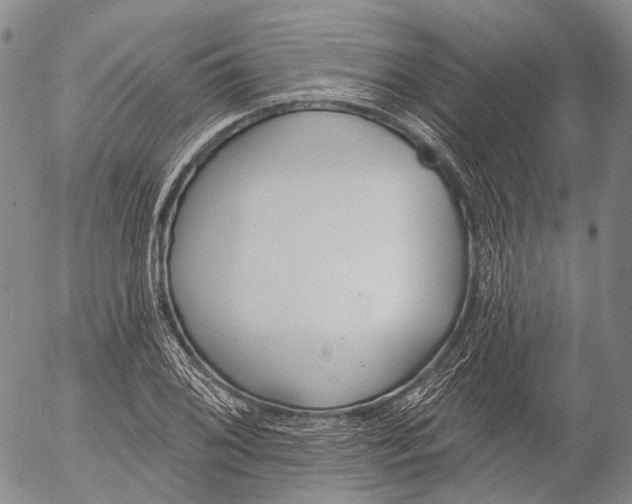 X0000052981076200507291546