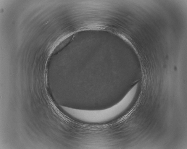 X0000052981077200507291546