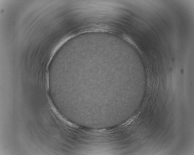 X0000052981079200507291546