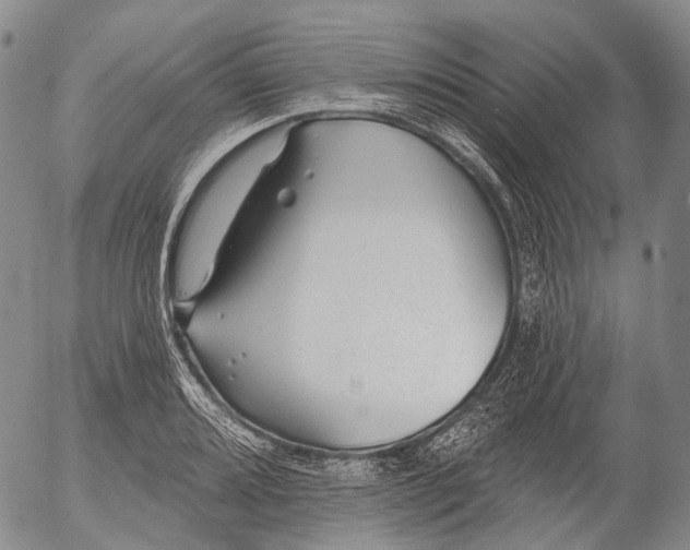 X0000052981080200507291545