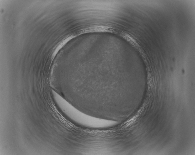 X0000052981081200507291545