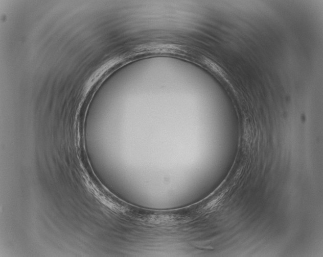 X0000052981082200507291545