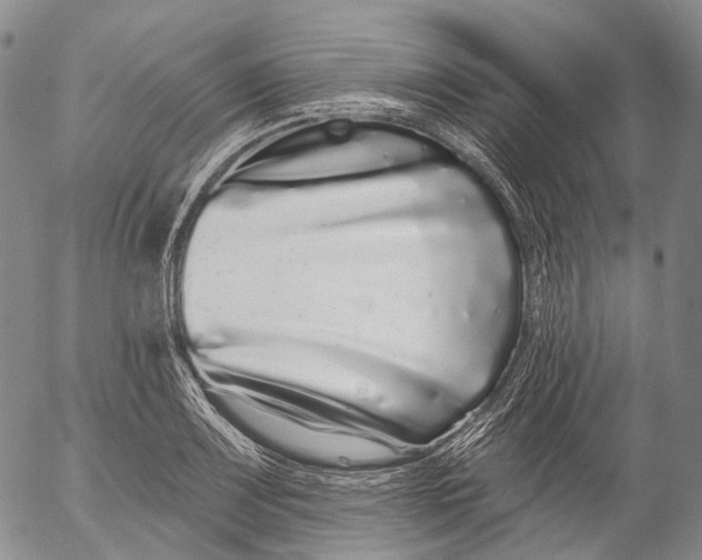 X0000052981083200507291545