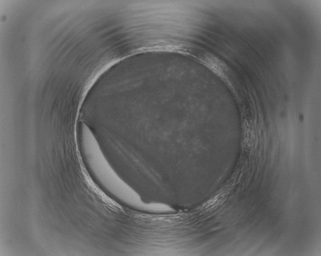 X0000052981084200507291545