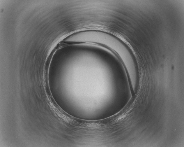 X0000052981085200507291545