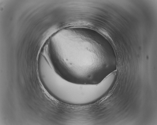 X0000052981087200507291545