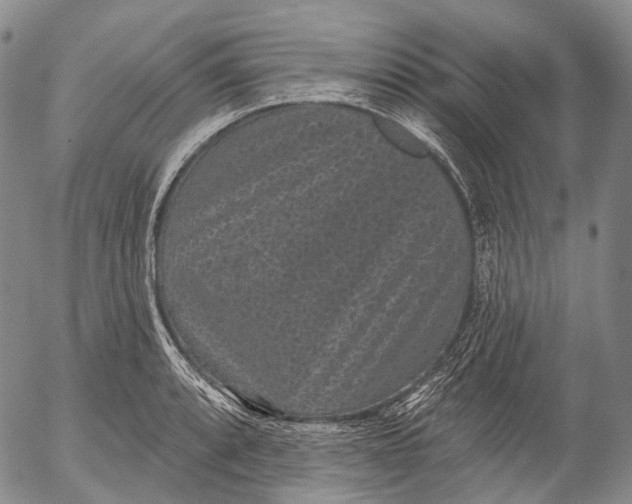 X0000052981088200507291545