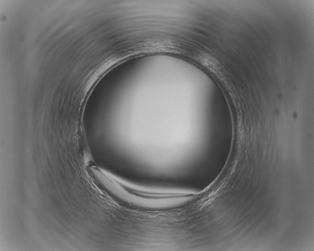 X0000052981089200507291545