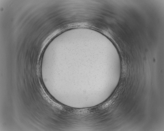 X0000052981090200507291545