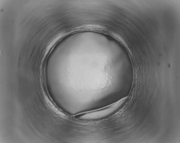 X0000052981091200507291545