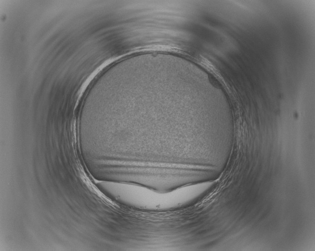 X0000052981092200507291545