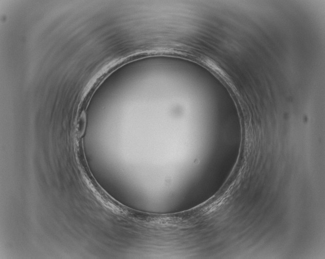 X0000052981093200507291545