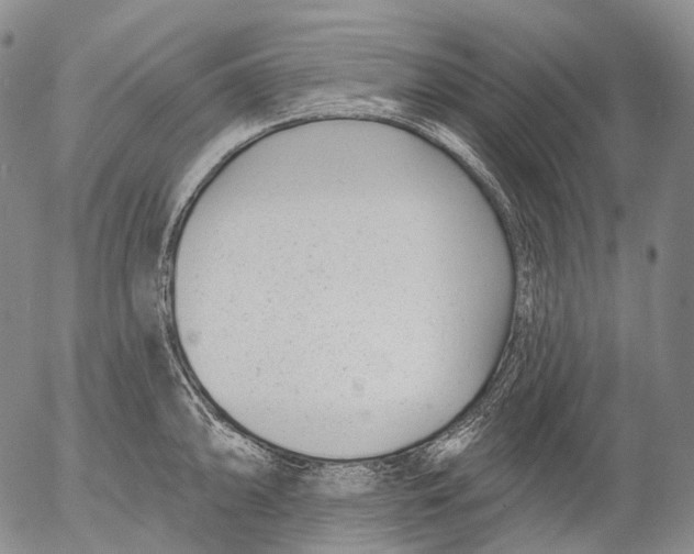 X0000052981094200507291545