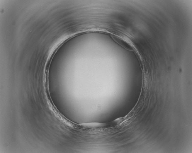 X0000052981096200507291545