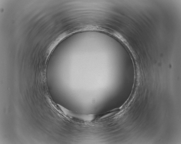 X0000052981097200507291545