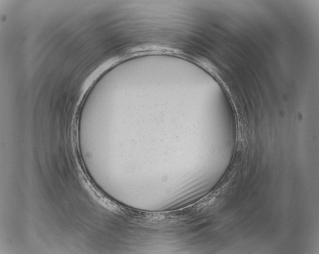 X0000052981098200507291545