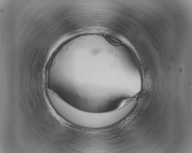 X0000052981099200507291545