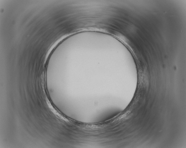 X0000052981100200507291545