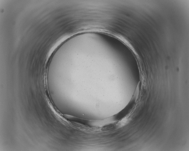 X0000052981101200507291545