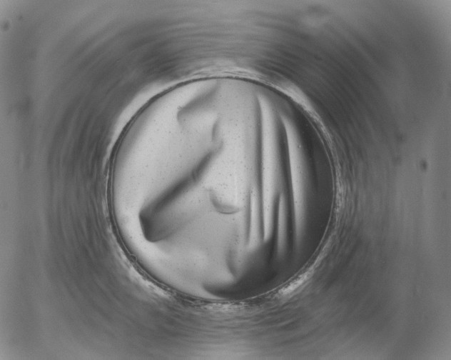 X0000052981102200507291545